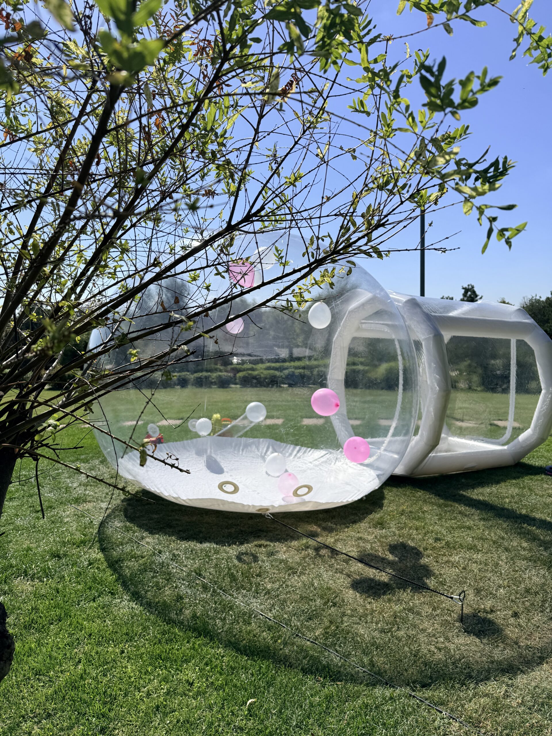 Bubble House